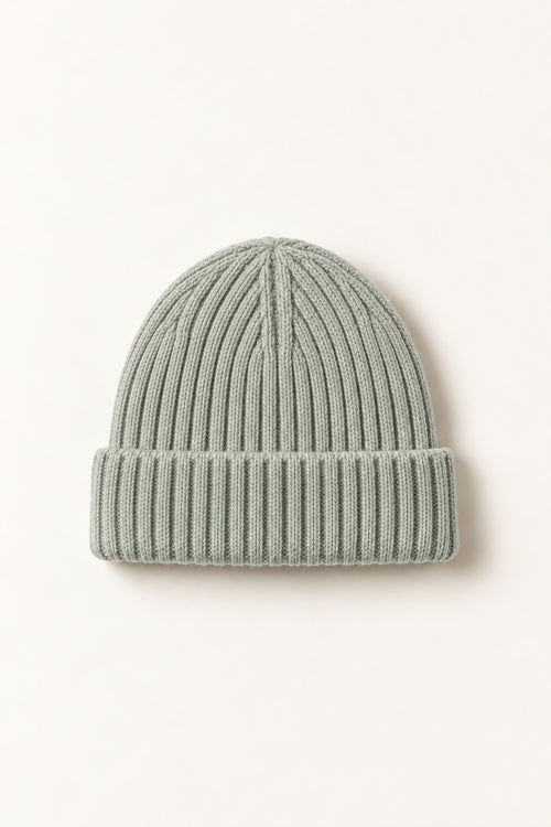 Fern Beanie in Mist