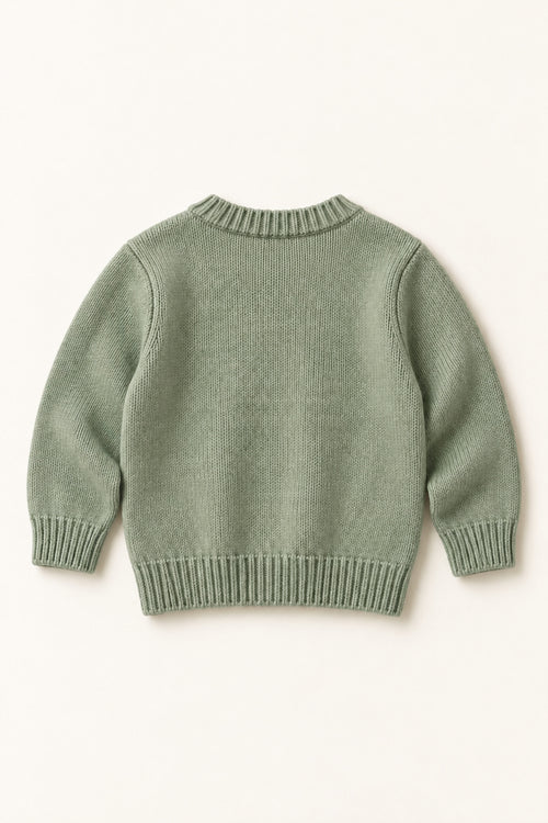 Juniper Jumper in Sage