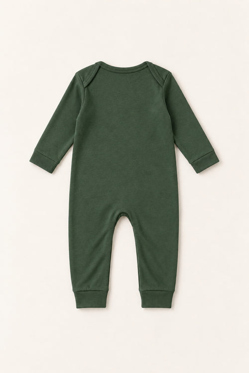 Robin Romper in Forest